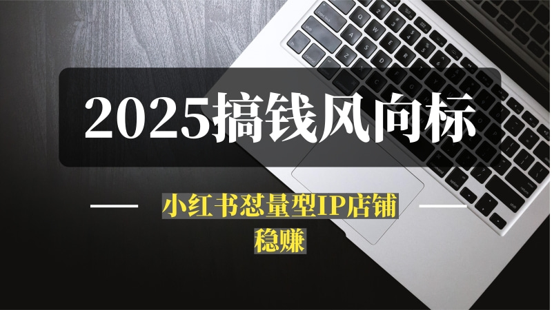 2025年搞钱风向标：用Ai在小红书做一个怼量型IP店铺，稳赚-推咖网创