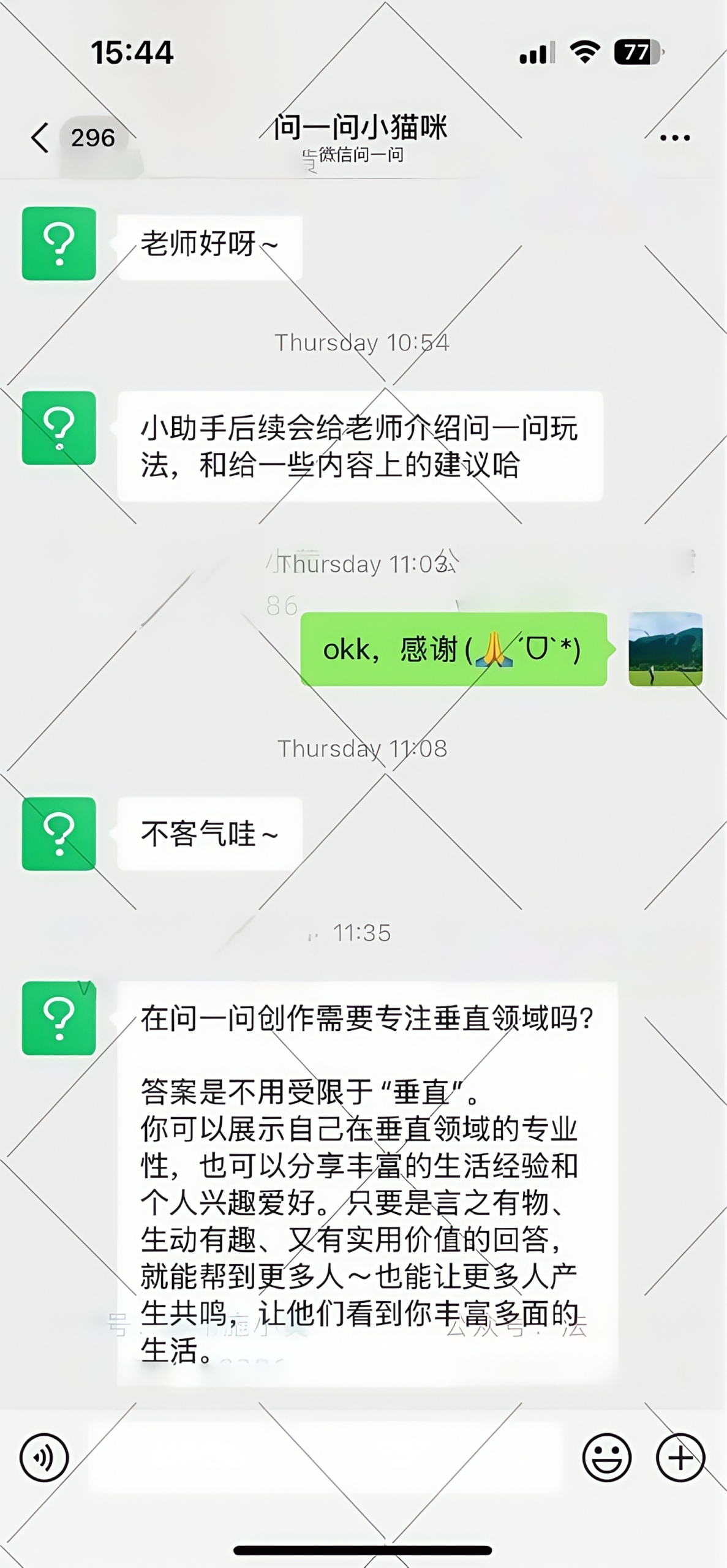 问一问是否需要专注垂直领域-网创情报论坛-推咖网创